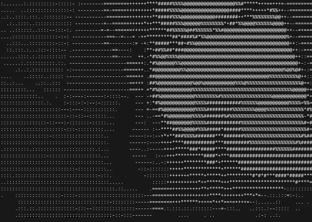 picture of my guitar in ASCII